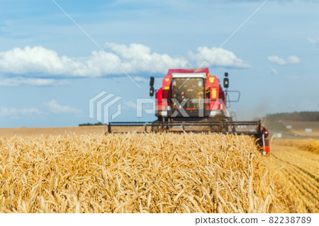 close-up ears of wheat at field and harvesting machine on background 82238789