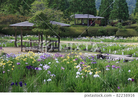 矢野溫泉公園四季之裡 10 82238916