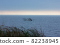 Dark Stormy Seascape with Sunlight on the Horizon 82238945