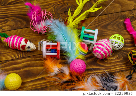 Set of toys for cat on wooden background Set of toys for cat on wooden background 82239985