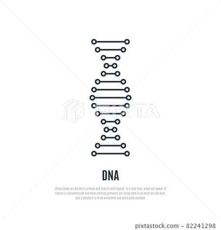 DNA linear icon. - Stock Illustration [82241298] - PIXTA