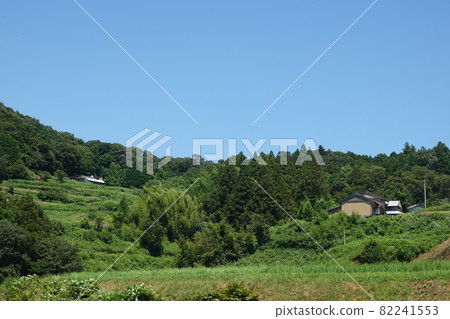 Country life in the mountain village of Kochi 82241553