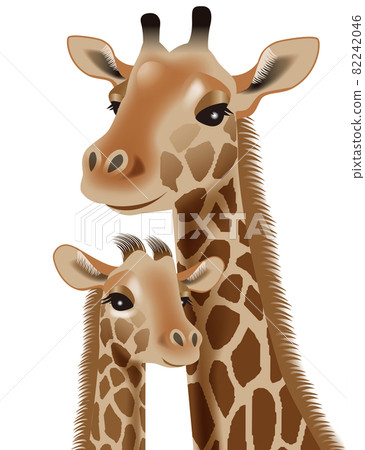 長頸鹿的插圖 82242046