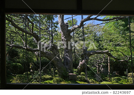 八瀨大原寶泉院 八瀨大原寶泉院 82243697