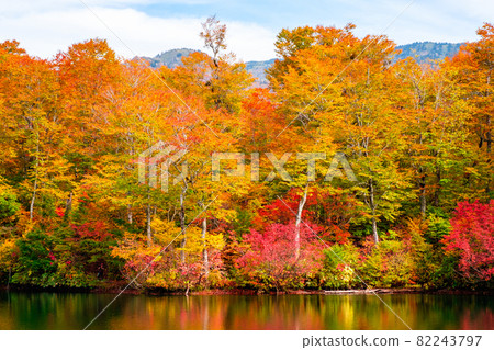 Autumn leaves of Kamike Autumn leaves of Kamike 82243797