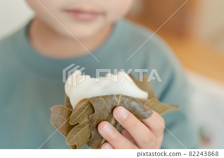 Boys' Festival 82243868