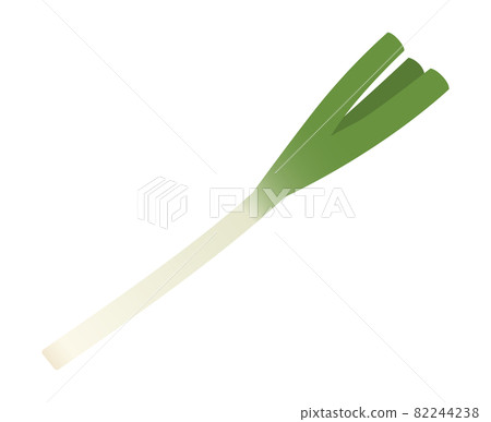 Japanese leek Japanese leek 82244238
