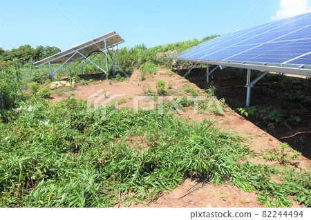 Solar power plant after mowing Solar power plant after mowing 82244494