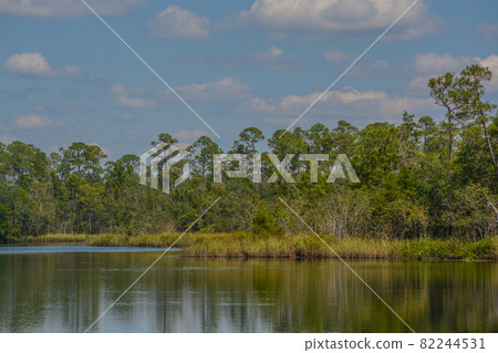 The Blackwater River at Russell Harber Landing in Milton, Santa Rosa County, Florida 82244531