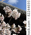 Sakura under the eaves 82244693
