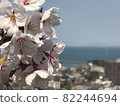 Cherry blossoms overlooking the sea 82244694