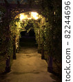 Night trail 82244696