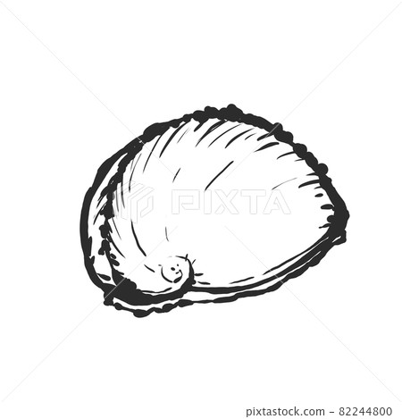 鮑魚手繪毛筆繪畫風格插畫 82244800