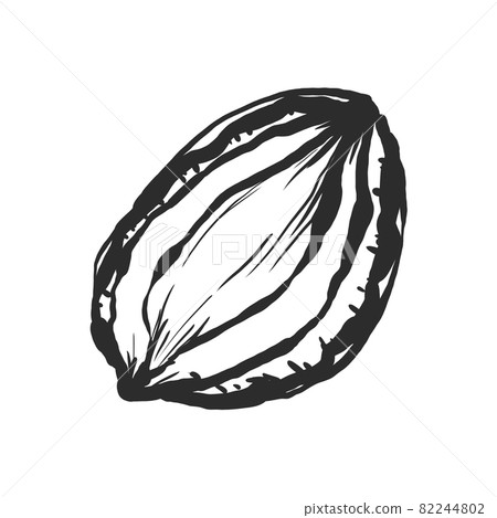 Abalone hand-painted brush painting style illustration Abalone hand-painted brush painting style illustration 82244802