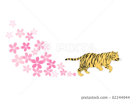 Illustration of a dynamic tiger and cherry blossoms Illustration of a dynamic tiger and cherry blossoms 82244944