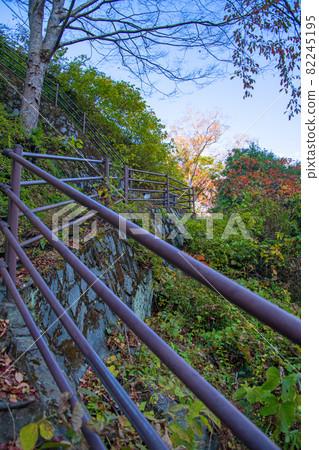 Near the entrance to Sanbaseki Gorge, promenade, autumn scenery, autumn leaves season 82245195