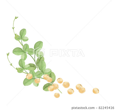 大豆和葉框架水彩插圖 82245416