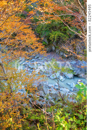 Near the entrance to Sanbaseki Gorge View from the promenade Autumn scenery Autumn leaves season Near the entrance to Sanbaseki Gorge View from the promenade Autumn scenery Autumn leaves season 82245495