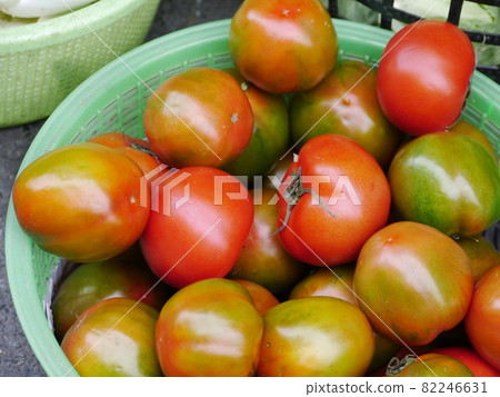 tomato  82246631