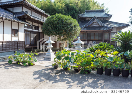 真言宗松江靈觀寺 真言宗松江靈觀寺 82246769