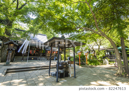 Todoroki Fudoson 82247613