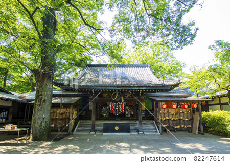 Todoroki Fudoson Todoroki Fudoson 82247614