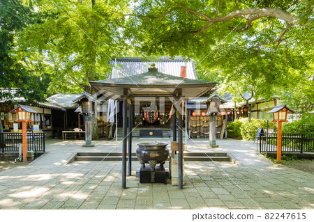 Todoroki Fudoson Todoroki Fudoson 82247615