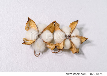 Cotton Cotton 82248749