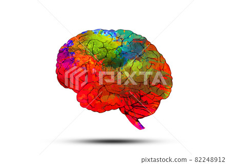 Abstract image of Colorful brain on white background. Abstract image of Colorful brain on white background. 82248912