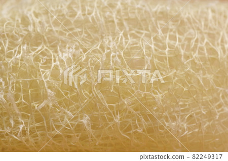 絲瓜纖維 82249317