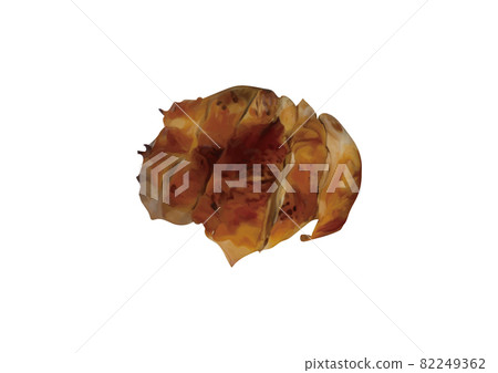 紅燒雞肉 82249362