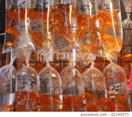 金魚以塑料袋出售,並在香港街出售 金魚以塑料袋出售,並在香港街出售 82249573