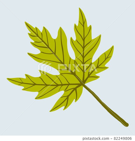 Simplicity maple leaf freehand drawing flat design. 82249806
