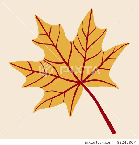 Simplicity maple leaf freehand drawing flat design. 82249807