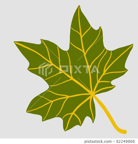 Simplicity maple leaf freehand drawing flat design. 82249808