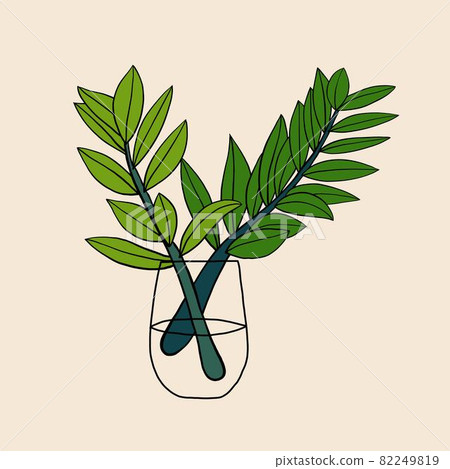 Simplicity zanzibar gem plant simplicity freehand drawing flat design. Simplicity zanzibar gem plant simplicity freehand drawing flat design. 82249819