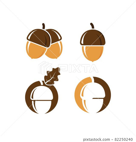 oak acorn vector illustration design 82250240