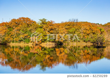 伊豆之瞳，秋色的一碧湖 82250289