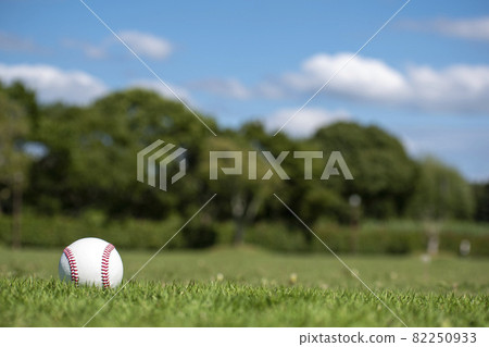 Ball on lush grass Ball on lush grass 82250933
