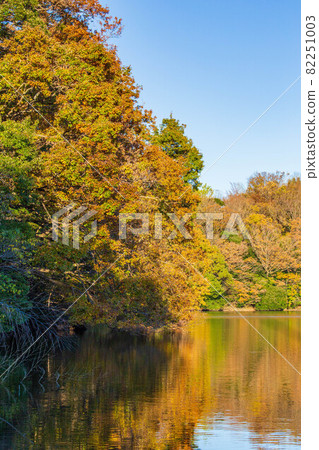 Izu no Hitomi, Lake Ippeki in autumn colors 82251003