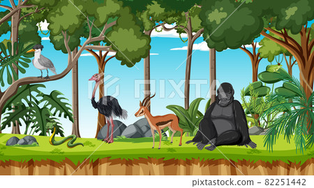 Forest scene with different wild animals 82251442