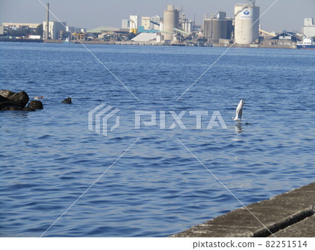 Scenery of port town Scenery of port town 82251514