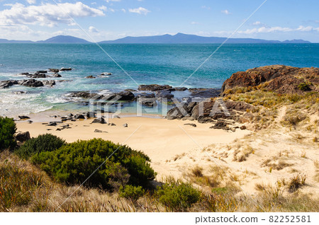 Spiky Beach - Swansea 82252581