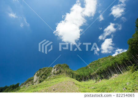 宜人的藍天和清新的綠景② 宜人的藍天和清新的綠景② 82254065