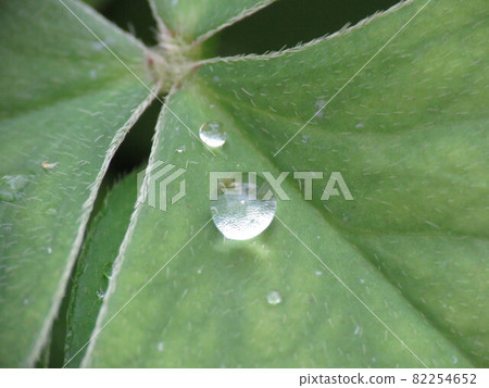 Small drops Small drops 82254652