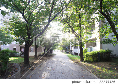 清晨陽光照耀的住宅區(住宅區)的長廊 清晨陽光照耀的住宅區(住宅區)的長廊 82255326