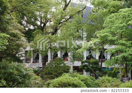 有時會和老婆出去玩的日比谷公園。日比谷公園,你開車出去只是為了放鬆。今天是一 有時會和老婆出去玩的日比谷公園。日比谷公園,你開車出去只是為了放鬆。今天是一 82255333