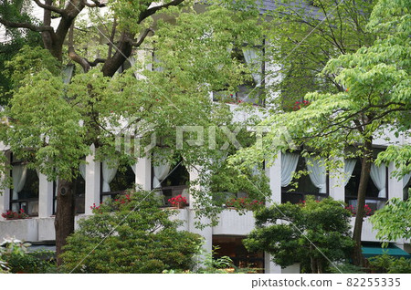 有時會和老婆出去玩的日比谷公園。日比谷公園,你開車出去只是為了放鬆。今天是一 有時會和老婆出去玩的日比谷公園。日比谷公園,你開車出去只是為了放鬆。今天是一 82255335