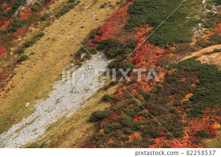 風景、登山、立山穿越、秋山 風景、登山、立山穿越、秋山 82258537