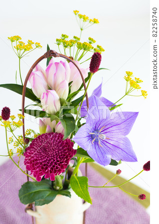 Kikyo, Gentiana, Sanguisorba Kikyo, Gentiana, Sanguisorba 82258740